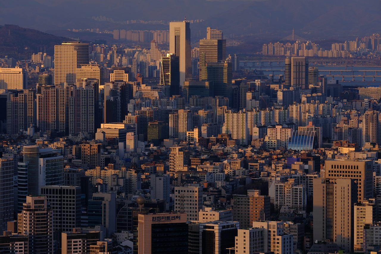 강남 비만